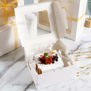 Pack de 5 pièces Boîtes à Bento Cakes 16X16X7,5cm