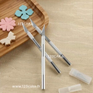Scalpel Cake Design Pour Plus de Précision