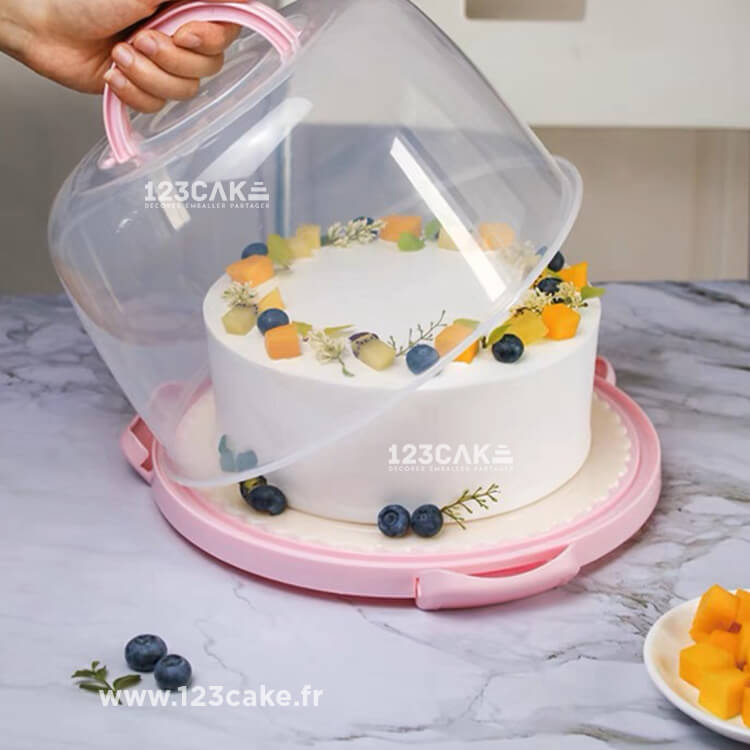 boite-transport-layer-cake-plastique-reutilisable-rose-tres-jolie
