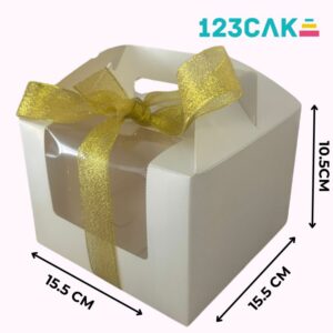 Boîte à Bento Cake carrée transparente de 16x16x10 cm