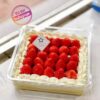 Boîte Transparente Gâteau Instagrammable – Pack de 5 | 123Cake