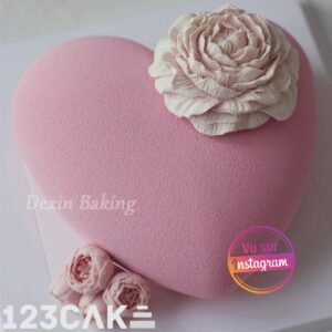 Moule pour Gâteau en Forme de Cœur 19 cm